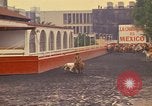 Standbild Pferd Reiter Mexico City Mexiko, 1975, aus Sekunde 56 historischem Filmmaterial Videoclip 65675039479
