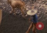 Image of horse rider Mexico City Mexico, 1975, second 20 stock footage video 65675039480