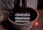 Standbild US-Botschaft in Jakarta Indonesien Jakarta Indonesien, 1964, aus Sekunde 7 historischem Filmmaterial Videoclip 65675039489