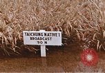 Image of Lyndon B Johnson Los Banos Philippines, 1966, second 43 stock footage video 65675039499