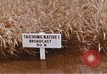 Image of Lyndon B Johnson Los Banos Philippines, 1966, second 45 stock footage video 65675039499