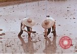 Image of Lyndon B Johnson Los Banos Philippines, 1966, second 46 stock footage video 65675039499