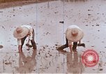 Image of Lyndon B Johnson Los Banos Philippines, 1966, second 48 stock footage video 65675039499