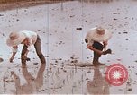 Image of Lyndon B Johnson Los Banos Philippines, 1966, second 49 stock footage video 65675039499