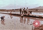 Image of Lyndon B Johnson Los Banos Philippines, 1966, second 50 stock footage video 65675039499