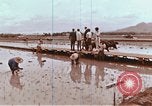 Image of Lyndon B Johnson Los Banos Philippines, 1966, second 51 stock footage video 65675039499
