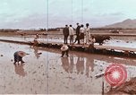 Image of Lyndon B Johnson Los Banos Philippines, 1966, second 52 stock footage video 65675039499