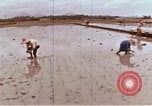 Image of Lyndon B Johnson Los Banos Philippines, 1966, second 54 stock footage video 65675039499