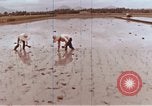 Image of Lyndon B Johnson Los Banos Philippines, 1966, second 55 stock footage video 65675039499