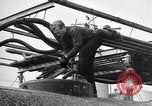 Image of Constructing a petroleum processing facility United States USA, 1943, second 19 stock footage video 65675039521