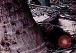 Image of United States soldiers Saigon Vietnam, 1968, second 11 stock footage video 65675039542
