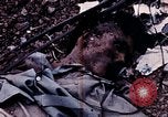 Image of United States soldiers Saigon Vietnam, 1968, second 39 stock footage video 65675039542