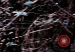 Image of American soldier Saigon Vietnam, 1968, second 20 stock footage video 65675039544