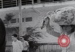 Image of Tet Offensive refugees Saigon Saigon Vietnam, 1968, second 54 stock footage video 65675039549