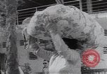 Image of Tet Offensive refugees Saigon Saigon Vietnam, 1968, second 55 stock footage video 65675039549