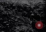 Image of British Mark IV tank with infantry in World War I Western Front, 1917, second 26 stock footage video 65675039556