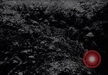 Image of British Mark IV tank with infantry in World War I Western Front, 1917, second 28 stock footage video 65675039556