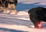 Immagine di Missile balistico Early Warning System ricerca sito radar Clear Alaska USA, 1963, secondo 54 filmato di repertorio 65675039564