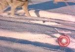 Immagine di Missile balistico Early Warning System ricerca sito radar Clear Alaska USA, 1963, secondo 56 filmato di repertorio 65675039564
