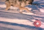 Immagine di Missile balistico Early Warning System ricerca sito radar Clear Alaska USA, 1963, secondo 59 filmato di repertorio 65675039564