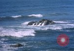 Immagine di Surf Makah Air Force Station Washington USA, 1962, secondo 43 filmato di repertorio 65675039566