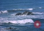 Immagine di Surf Makah Air Force Station Washington USA, 1962, secondo 44 filmato di repertorio 65675039566
