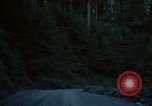 Standbild Wald Makah Air Force Station Washington USA, 1962, aus Sekunde 11 historischem Filmmaterial Videoclip 65675039568