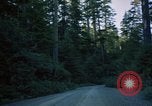 Standbild Wald Makah Air Force Station Washington USA, 1962, aus Sekunde 28 historischem Filmmaterial Videoclip 65675039568