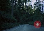 Standbild Wald Makah Air Force Station Washington USA, 1962, aus Sekunde 29 historischem Filmmaterial Videoclip 65675039568