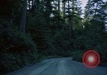 Standbild Wald Makah Air Force Station Washington USA, 1962, aus Sekunde 30 historischem Filmmaterial Videoclip 65675039568