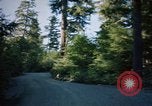 Standbild Wald Makah Air Force Station Washington USA, 1962, aus Sekunde 37 historischem Filmmaterial Videoclip 65675039568