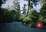 Standbild Wald Makah Air Force Station Washington USA, 1962, aus Sekunde 38 historischem Filmmaterial Videoclip 65675039568