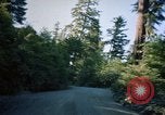 Standbild Wald Makah Air Force Station Washington USA, 1962, aus Sekunde 39 historischem Filmmaterial Videoclip 65675039568