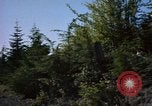 Standbild Fluss Makah Air Force Station Washington USA, 1962, aus Sekunde 54 historischem Filmmaterial Videoclip 65675039569