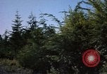 Standbild Fluss Makah Air Force Station Washington USA, 1962, aus Sekunde 55 historischem Filmmaterial Videoclip 65675039569