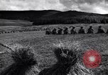 Image of Southern Siberia Russia, 1920, second 14 stock footage video 65675039583