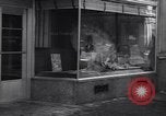 Image of 'Thos Cook and Son' travel office New York City USA, 1936, second 26 stock footage video 65675039595