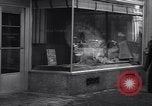 Image of 'Thos Cook and Son' travel office New York City USA, 1936, second 27 stock footage video 65675039595