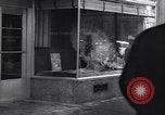Image of 'Thos Cook and Son' travel office New York City USA, 1936, second 45 stock footage video 65675039595