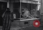 Image of 'Thos Cook and Son' travel office New York City USA, 1936, second 56 stock footage video 65675039595