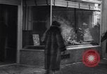 Image of 'Thos Cook and Son' travel office New York City USA, 1936, second 57 stock footage video 65675039595