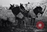 Image of American encampment World War I Europe, 1918, second 5 stock footage video 65675039656