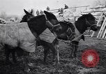 Image of American encampment World War I Europe, 1918, second 6 stock footage video 65675039656