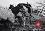 Image of American encampment World War I Europe, 1918, second 7 stock footage video 65675039656