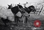 Image of American encampment World War I Europe, 1918, second 8 stock footage video 65675039656