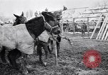 Image of American encampment World War I Europe, 1918, second 9 stock footage video 65675039656