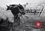 Image of American encampment World War I Europe, 1918, second 10 stock footage video 65675039656