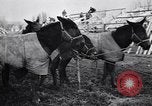 Image of American encampment World War I Europe, 1918, second 12 stock footage video 65675039656