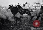 Image of American encampment World War I Europe, 1918, second 14 stock footage video 65675039656