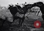 Image of American encampment World War I Europe, 1918, second 15 stock footage video 65675039656